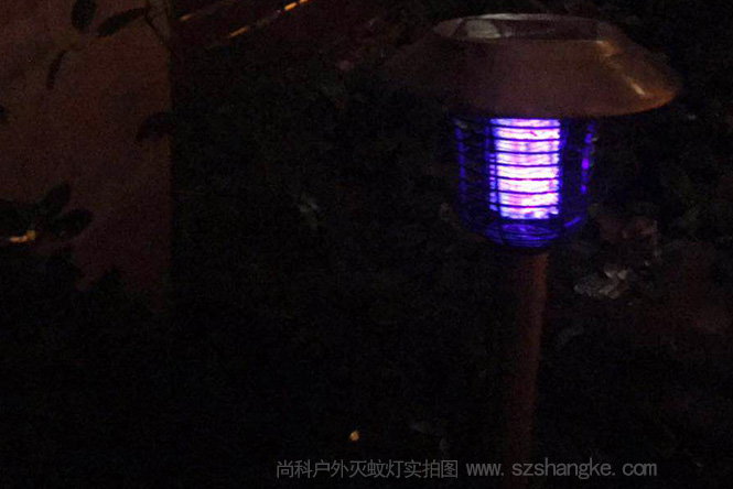 別墅庭院景觀滅蚊燈安裝要讓強(qiáng)光 別墅庭院景觀滅蚊燈安裝要讓強(qiáng)光