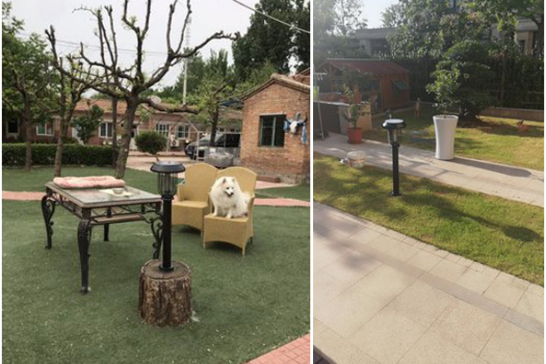 四川病媒防制項目招標用什么樣的戶外滅蚊燈