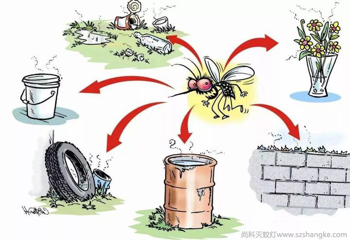 關燈就有蚊子，開燈就沒有蚊子，怎么回事？