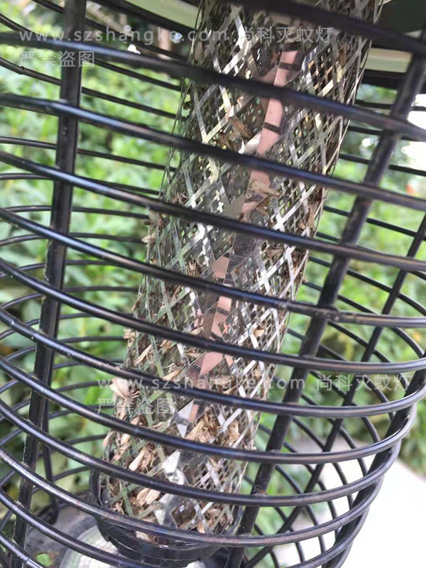 天熱了蚊子來(lái)了，別墅庭院太陽(yáng)能滅蚊燈