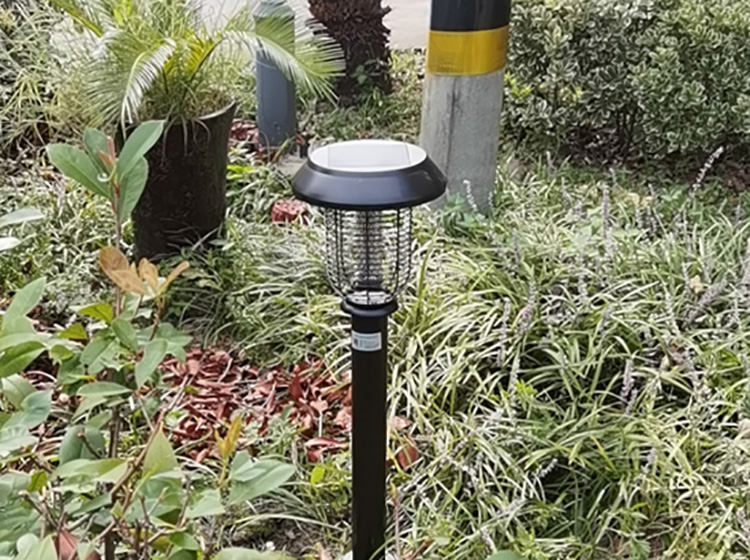 小區(qū)里紫色滅蚊燈是什么燈？紫外線滅蚊燈的作用及使用