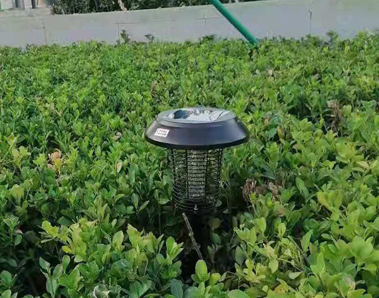 別墅花園怎么滅蚊，方法分享