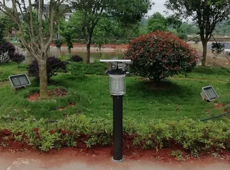 自動(dòng)滅蚊器哪一種好用，功能和安全哪個(gè)重要